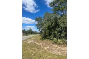 SW 112TH ST, OCALA, FL 34476 - MLS#MFROM711790