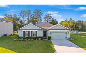215 Hickory Course Loop HICKORY COURSE LOOP, OCALA, FL 34472 - MLS#MFROM711798