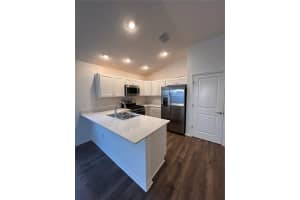 1225 SEAN CURRAN COURT, THE VILLAGES, FL 34762 - MLS#MFROM711858