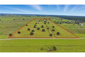 7950 140TH AVENUE, DUNNELLON, FL 34432 - MLS#MFROM711883