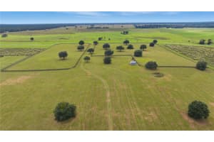 7950 140TH AVENUE, DUNNELLON, FL 34432 - MLS#MFROM711883