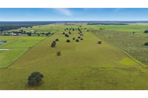 7950 140TH AVENUE, DUNNELLON, FL 34432 - MLS#MFROM711883