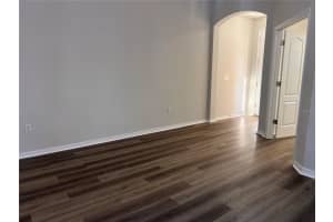 1123 NAPOLEAN WAY, WESLEY CHAPEL, FL 33544 - MLS#MFROM711900