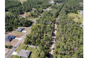 TBD SW 41ST CIR, OCALA, FL 34473 - MLS#MFROM711905