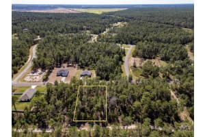 TBD SW 41ST CIR, OCALA, FL 34473 - MLS#MFROM711905