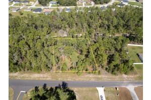 TBD SW 41ST CIR, OCALA, FL 34473 - MLS#MFROM711905