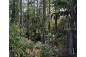 188 TUDOR ROAD, PALM BAY, FL 32908 - MLS#MFROM711918