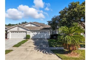 30049 EMMETTS COURT, WESLEY CHAPEL, FL 33543 - MLS#MFROM711926