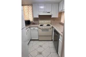 1051 HIGHLAND STREET, MOUNT DORA, FL 32757 - MLS#MFROM711950