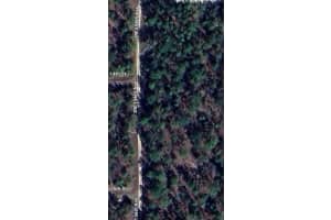 00 156 AVENUE, OCALA, FL 34481 - MLS#MFROM711951