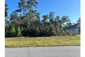 SW 23 AVENUE RD, OCALA, FL 34473 - MLS#MFROM711983