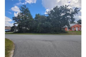 SW 133RD LOOP, OCALA, FL 34473 - MLS#MFROM712028