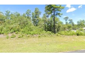 MARION OAKS LN, OCALA, FL 34473 - MLS#MFROM712073