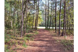 SE 47TH ST, OCALA, FL 34480 - MLS#MFROM712117