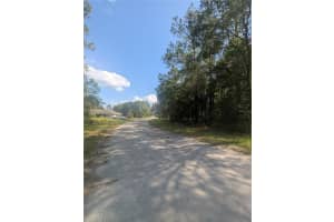 10484 HOLCOMB DRIVE, CITRUS SPRINGS, FL 34434 - MLS#MFROM712128