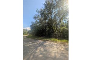 10484 HOLCOMB DRIVE, CITRUS SPRINGS, FL 34434 - MLS#MFROM712128