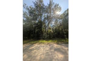 10484 HOLCOMB DRIVE, CITRUS SPRINGS, FL 34434 - MLS#MFROM712128