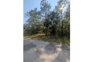 10484 HOLCOMB DRIVE, CITRUS SPRINGS, FL 34434 - MLS#MFROM712128