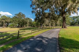 8502 20TH COURT, OCALA, FL 34476 - MLS#MFROM712133