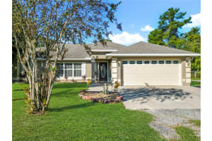 11740 169TH AVENUE ROAD, OCKLAWAHA, FL 32179 - MLS#MFROM712150