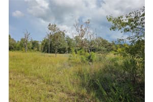 4929 PORTULACA COURT, DUNNELLON, FL 34431 - MLS#MFROM712156