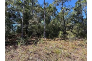 11073 HAITIAN DRIVE, CITRUS SPRINGS, FL 34434 Sold 02/17/26