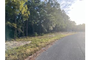 SW 140TH PLACE RD, OCALA, FL 34473 - MLS#MFROM712179