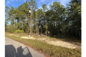 SW 140TH PLACE RD, OCALA, FL 34473 - MLS#MFROM712179