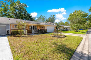 8738 95TH LANE, OCALA, FL 34481 - MLS#MFROM712182