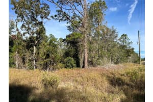 00 BREEZY POINT DRIVE, DUNNELLON, FL 34431 - MLS#MFROM712231