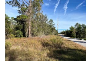 00 BREEZY POINT DRIVE, DUNNELLON, FL 34431 - MLS#MFROM712231