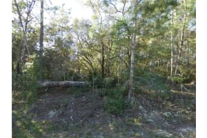 7809 JAMAICA DRIVE, CITRUS SPRINGS, FL 34433 - MLS#MFROM712252