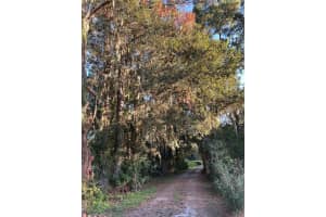 7705 137TH AVENUE, MORRISTON, FL 32668 - MLS#MFROM712254