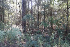 00 39 STREET, DUNNELLON, FL 34432 - MLS#MFROM712255