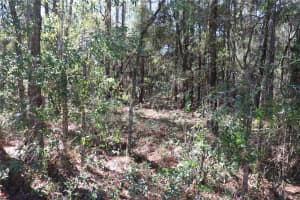 00 39 STREET, DUNNELLON, FL 34432 - MLS#MFROM712255