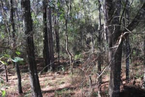 00 39 STREET, DUNNELLON, FL 34432 - MLS#MFROM712255