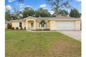 8765 162ND STREET, SUMMERFIELD, FL 34491 - MLS#MFROM712323