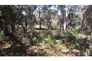 2009 MILTON STREET, INVERNESS, FL 34453 Sold 01/06/26