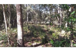 2011 MILTON STREET, INVERNESS, FL 34453 Sold 01/06/26