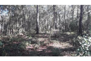 2010 FALKNER STREET, INVERNESS, FL 34453 Sold 01/05/26