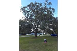 12667 101ST COURT, BELLEVIEW, FL 34420 - MLS#MFROM712385