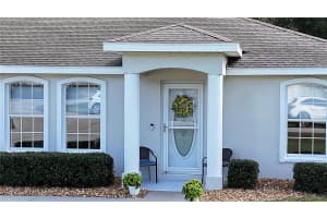 13777 44TH AVENUE, SUMMERFIELD, FL 34491 - MLS#MFROM712403