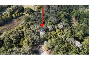 8735 CR 631A, BUSHNELL, FL 33513 - MLS#MFROM712422