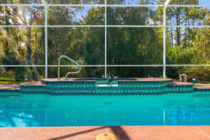 24 LIVINGSTONE DAISY COURT, HOMOSASSA, FL 34446 - MLS#MFROM712451