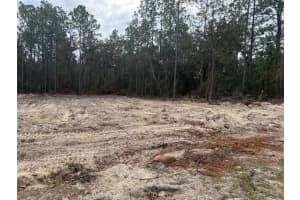 SW 66TH AVE RD, OCALA, FL 34473 - MLS#MFROM712517
