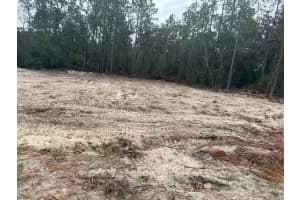 SW 66TH AVE RD, OCALA, FL 34473 - MLS#MFROM712517