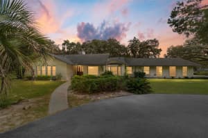12943 COUNTY ROAD 245E, OXFORD, FL 34484 - MLS#MFROM712548