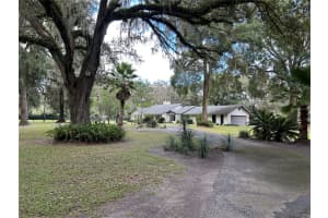 12943 COUNTY ROAD 245E, OXFORD, FL 34484 - MLS#MFROM712548