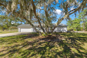 16345 113TH STREET ROAD, OCKLAWAHA, FL 32179 - MLS#MFROM712577