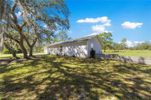 16345 113TH STREET ROAD, OCKLAWAHA, FL 32179 - MLS#MFROM712577